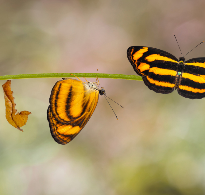 Change. Do we Like It?...….Maybe. But Also Maybe Not!