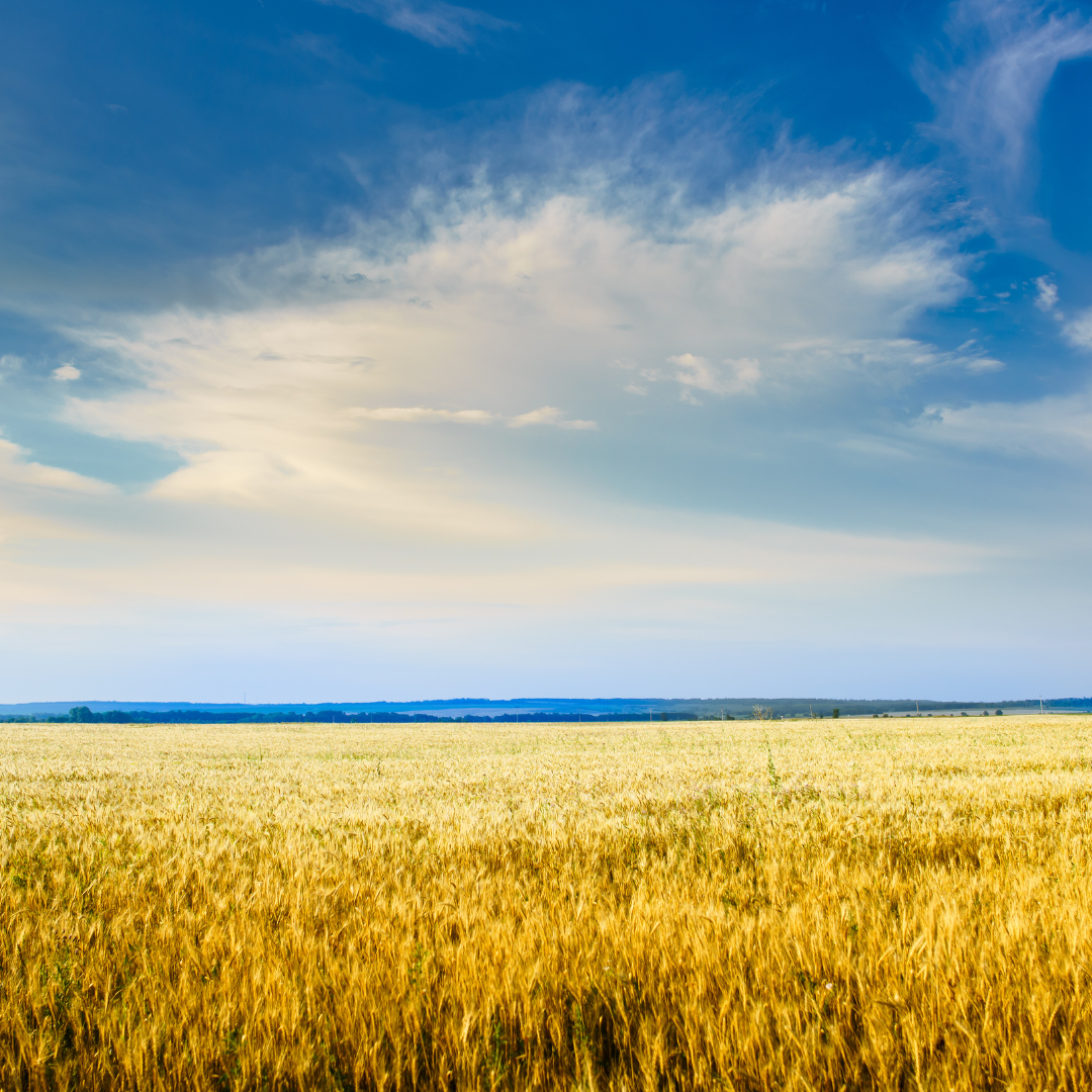 End of July Already!