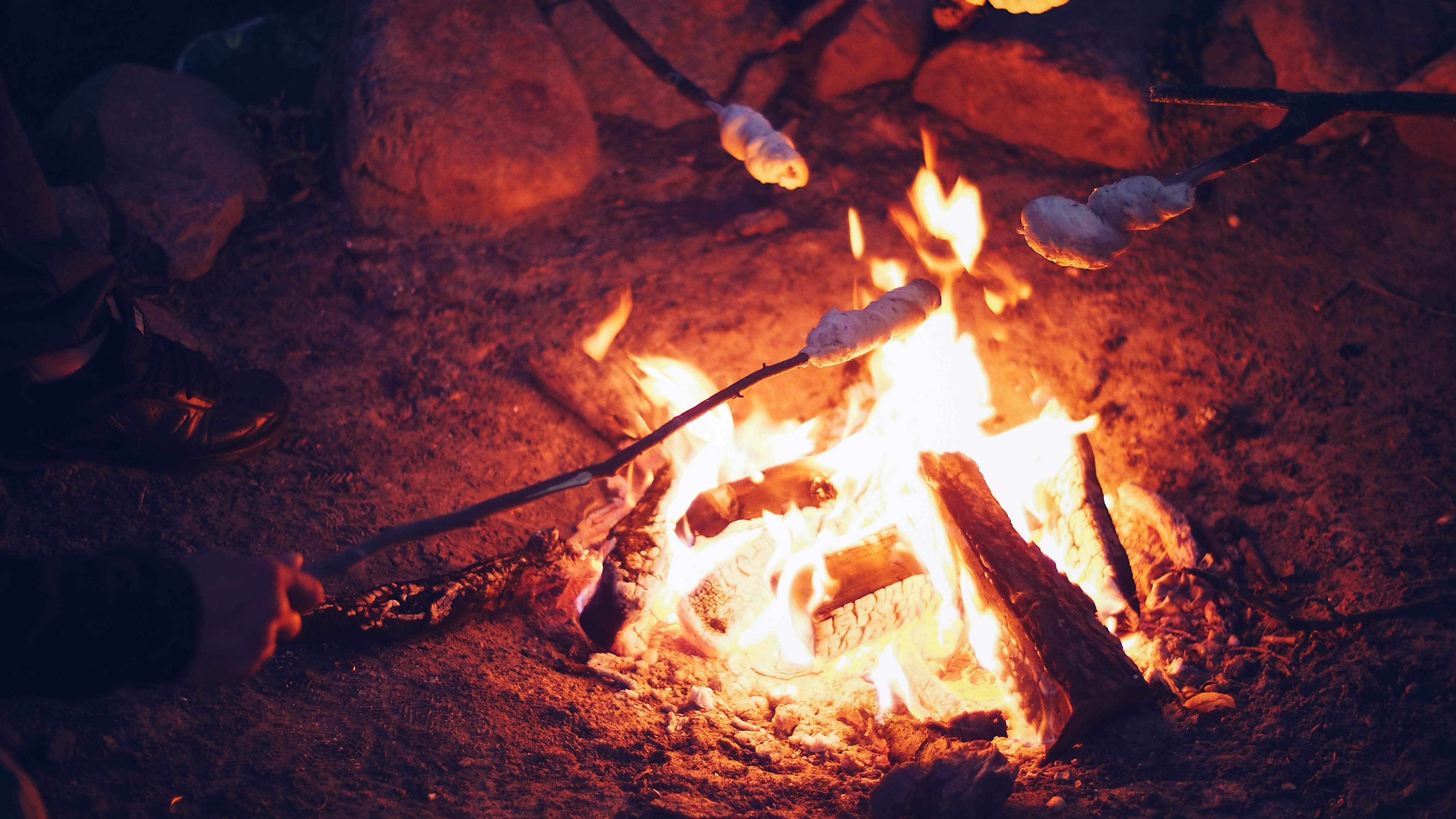 Campfire cuisine  
